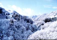 hida mountain